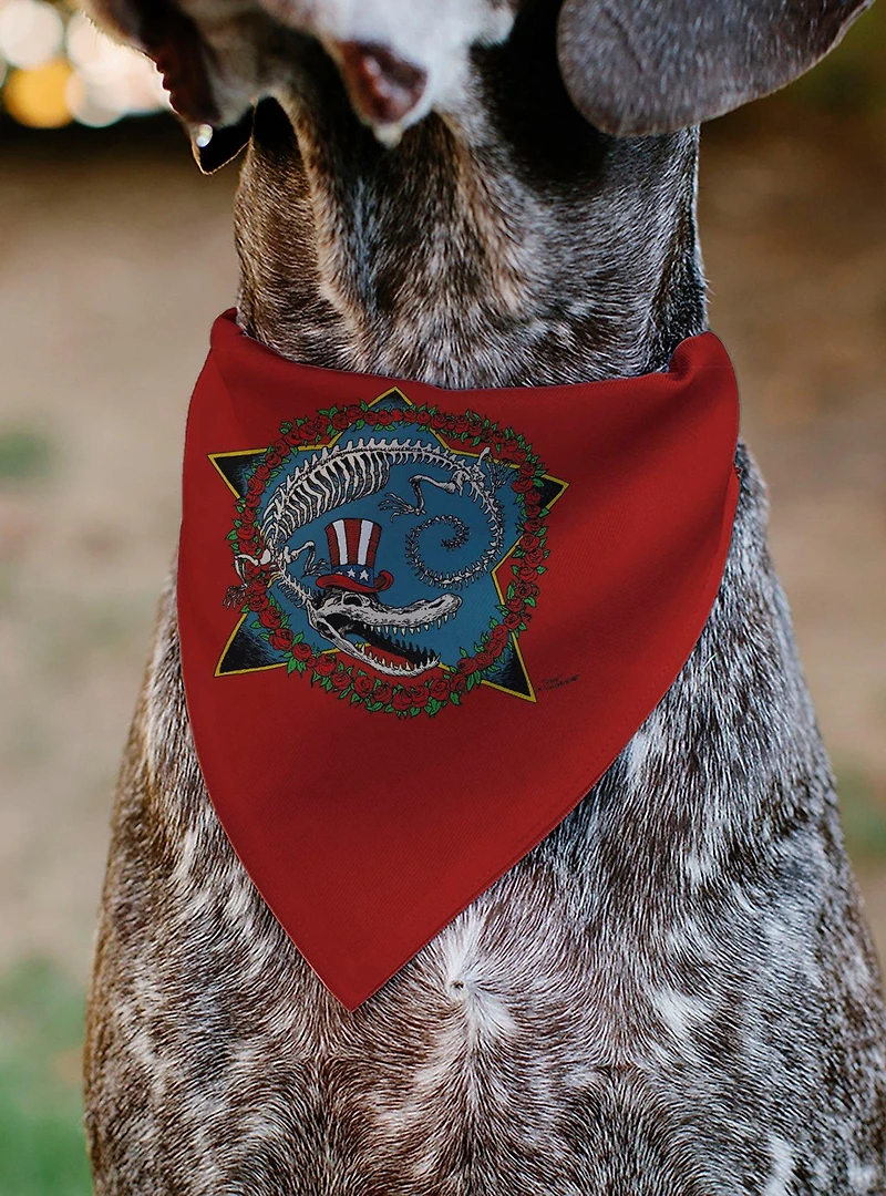 Grateful Dead Daves Picks Volume Ten Alligator Bonus Art Slip On Collar Pet Bandana - Bandana Only