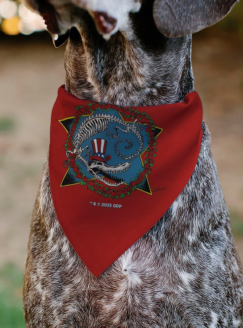 Grateful Dead Daves Picks Volume Ten Alligator Bonus Art Slip On Collar Pet Bandana - Bandana Only