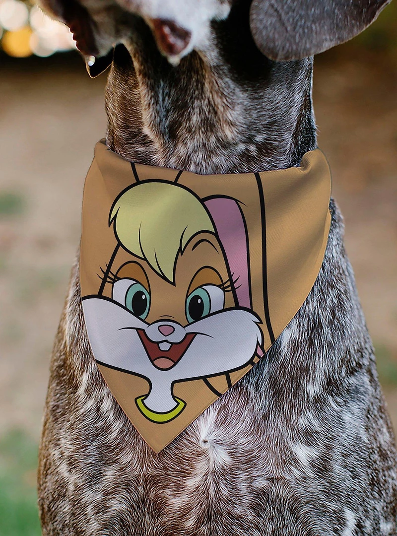 Looney Tunes Lola Bunny Face Close Up Slip On Collar Pet Bandana - Bandana Only