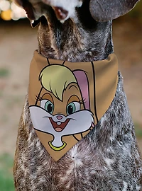 Looney Tunes Lola Bunny Face Close Up Slip On Collar Pet Bandana - Bandana Only