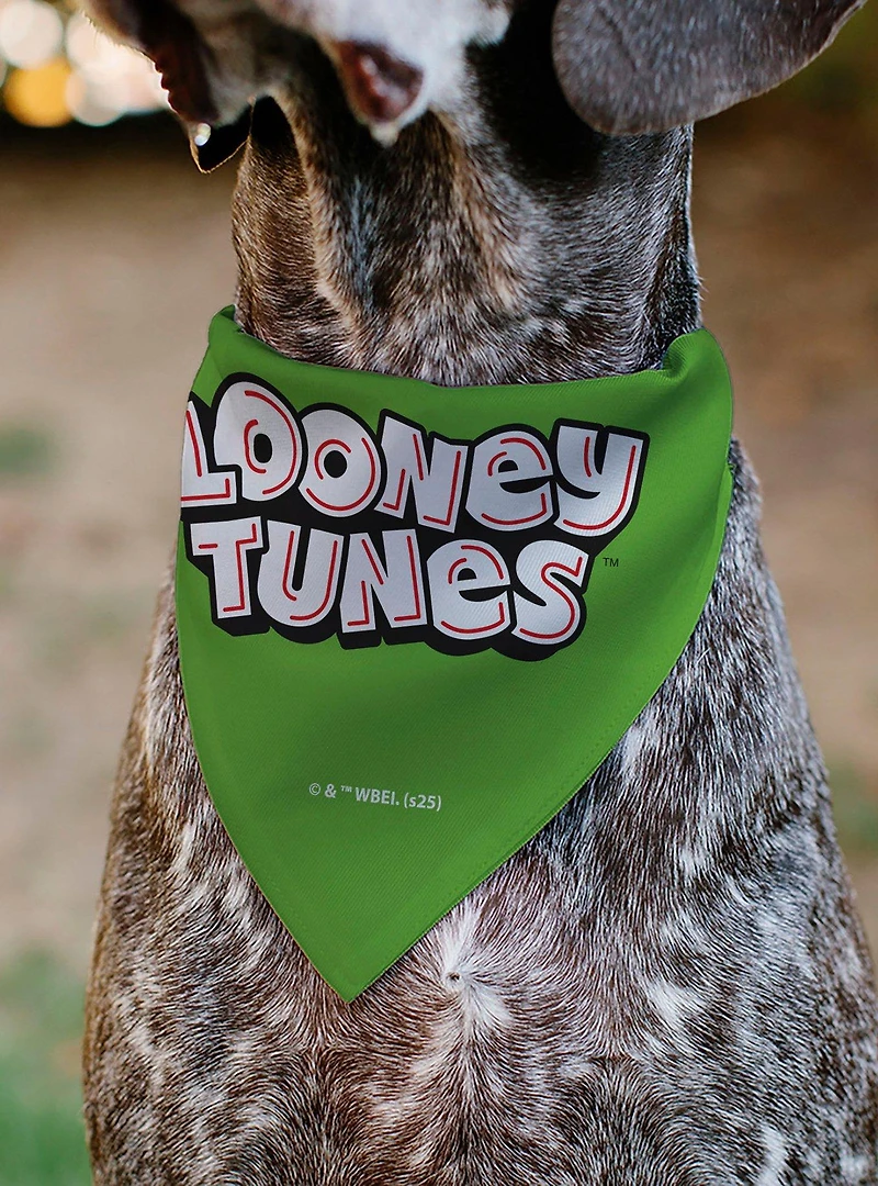 Looney Tunes Marvin The Martian Face Close Up Slip On Collar Pet Bandana - Bandana Only