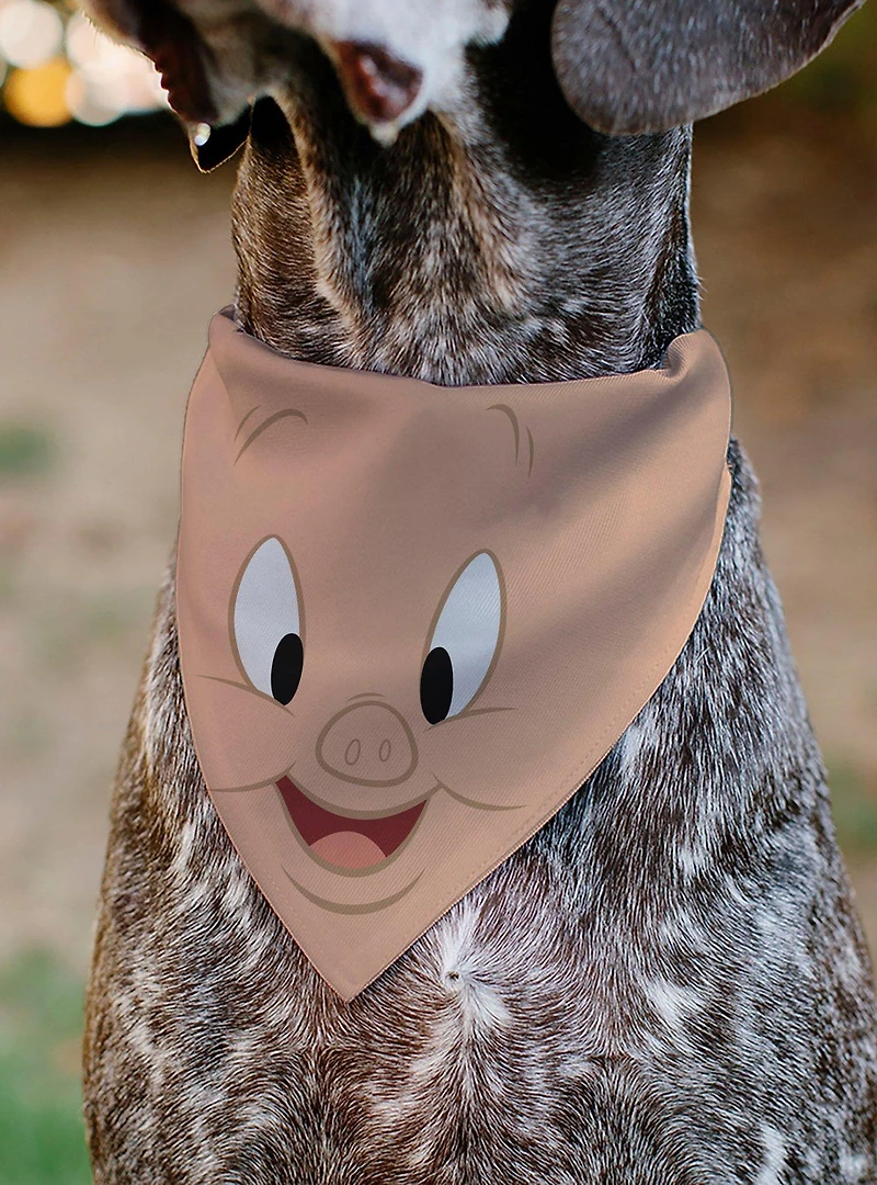 Looney Tunes Porky Pig Face Close Up Peach Slip On Collar Pet Bandana - Bandana Only