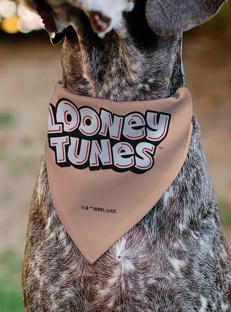 Looney Tunes Porky Pig Face Close Up Peach Slip On Collar Pet Bandana - Bandana Only