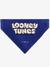Looney Tunes Road Runner Face Close Up Slip On Collar Pet Bandana - Bandana Only