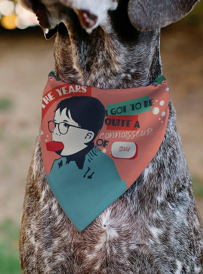 A Christmas Story Icons Title Collage Slip On Collar Pet Bandana - Bandana Only