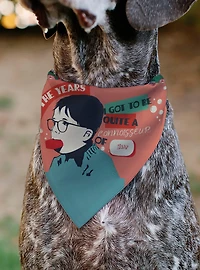 A Christmas Story Icons Title Collage Slip On Collar Pet Bandana - Bandana Only