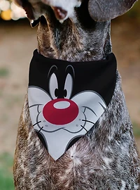 Looney Tunes Sylvester The Cat Face Close Up Slip On Collar Pet Bandana - Bandana Only