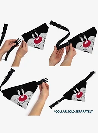 Looney Tunes Sylvester The Cat Face Close Up Slip On Collar Pet Bandana - Bandana Only