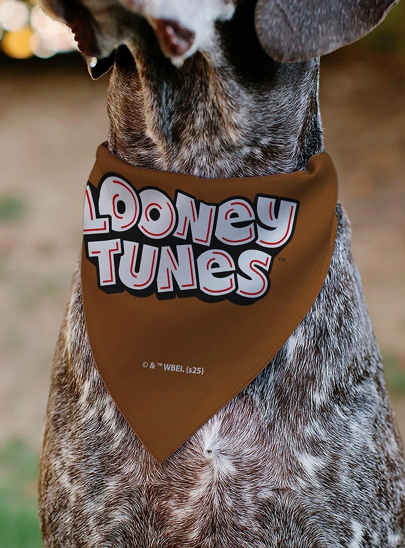 Looney Tunes Taz Tasmanian Devil Face Close Up Slip On Collar Pet Bandana - Bandana Only