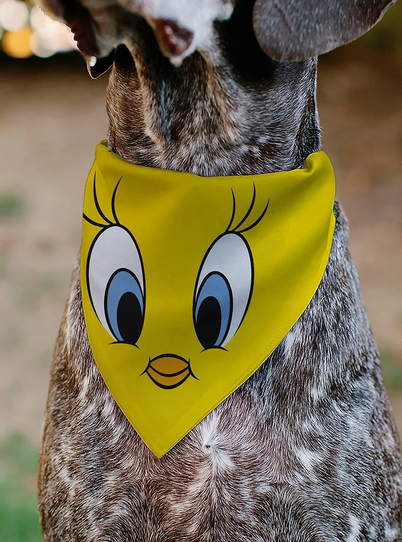 Looney Tunes Tweety Bird Face Close Up Slip On Collar Pet Bandana - Bandana Only