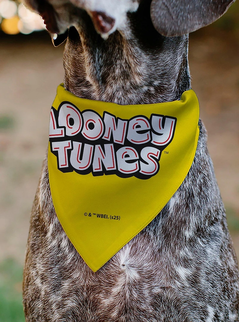 Looney Tunes Tweety Bird Face Close Up Slip On Collar Pet Bandana - Bandana Only