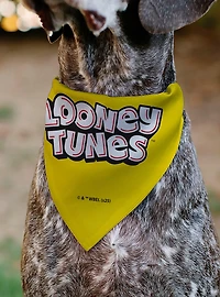 Looney Tunes Tweety Bird Face Close Up Slip On Collar Pet Bandana - Bandana Only