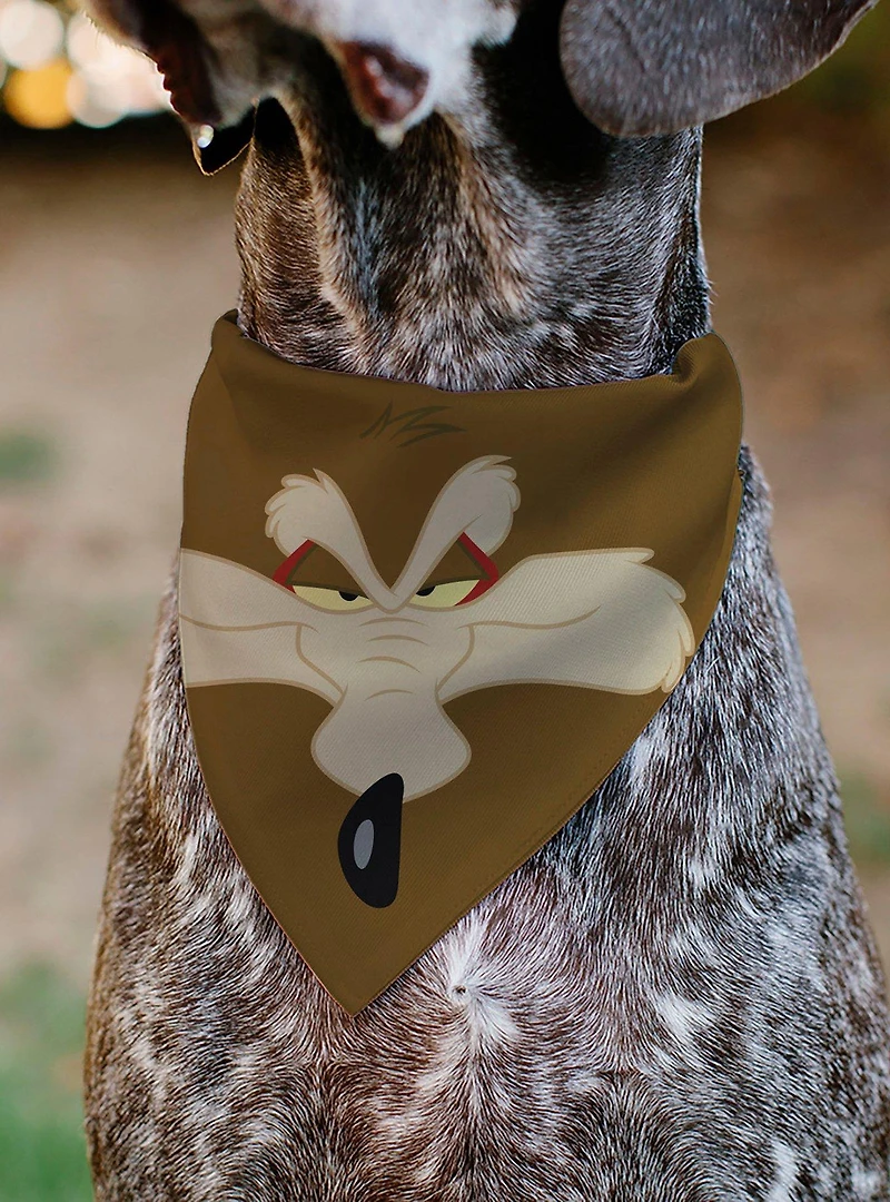 Looney Tunes Wile E Coyote Face Close Up Slip On Collar Pet Bandana - Bandana Only