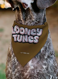 Looney Tunes Wile E Coyote Face Close Up Slip On Collar Pet Bandana - Bandana Only