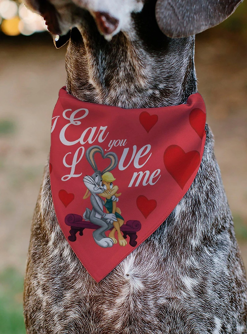 Looney Tunes Bugs & Lola I Ear You Love Me Hearts Slip On Collar Pet Bandana - Bandana Only