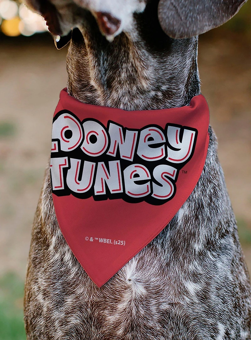 Looney Tunes Bugs & Lola I Ear You Love Me Hearts Slip On Collar Pet Bandana - Bandana Only