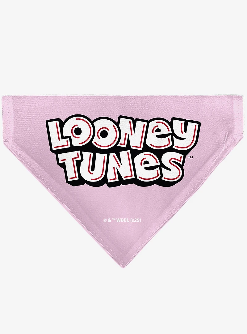 Looney Tunes Daffy Duck You're A Gem Heart Title Slip On Collar Pet Bandana - Bandana Only