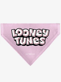Looney Tunes Daffy Duck You're A Gem Heart Title Slip On Collar Pet Bandana - Bandana Only