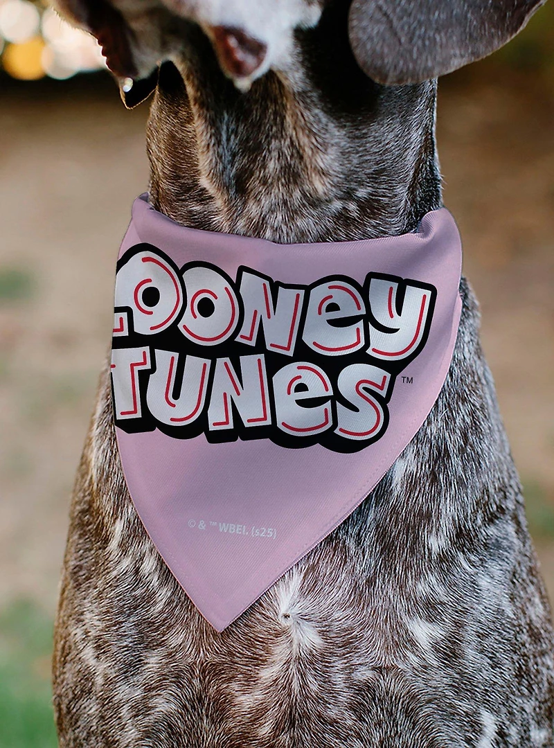 Looney Tunes Daffy Duck You're A Gem Heart Title Slip On Collar Pet Bandana - Bandana Only
