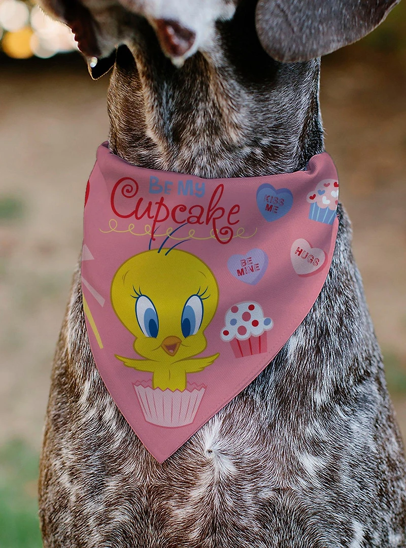 Looney Tunes Tweety Bird Be My Cupcake Sweets Pose and Title Slip On Collar Pet Bandana - Bandana Only