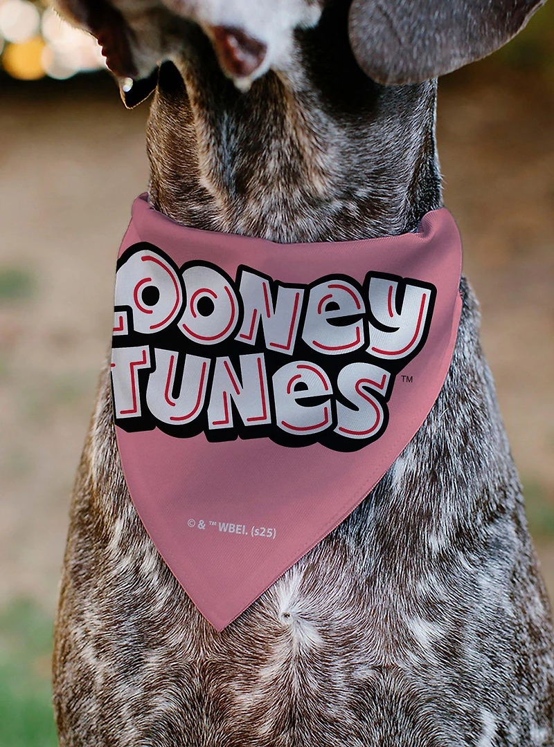 Looney Tunes Tweety Bird Be My Cupcake Sweets Pose and Title Slip On Collar Pet Bandana - Bandana Only