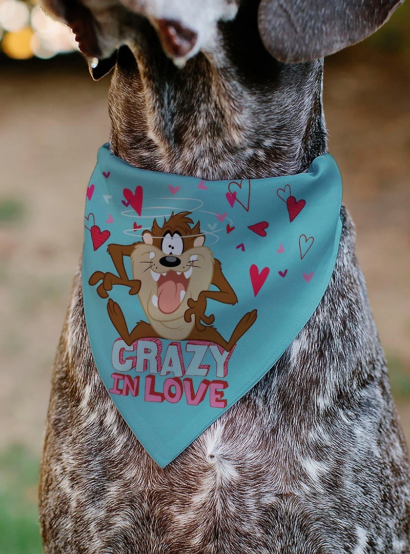 Looney Tunes Taz Tasmanian Devil Crazy In Love Heart Logo Slip On Collar Pet Bandana - Bandana Only