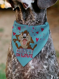 Looney Tunes Taz Tasmanian Devil Crazy In Love Heart Logo Slip On Collar Pet Bandana - Bandana Only