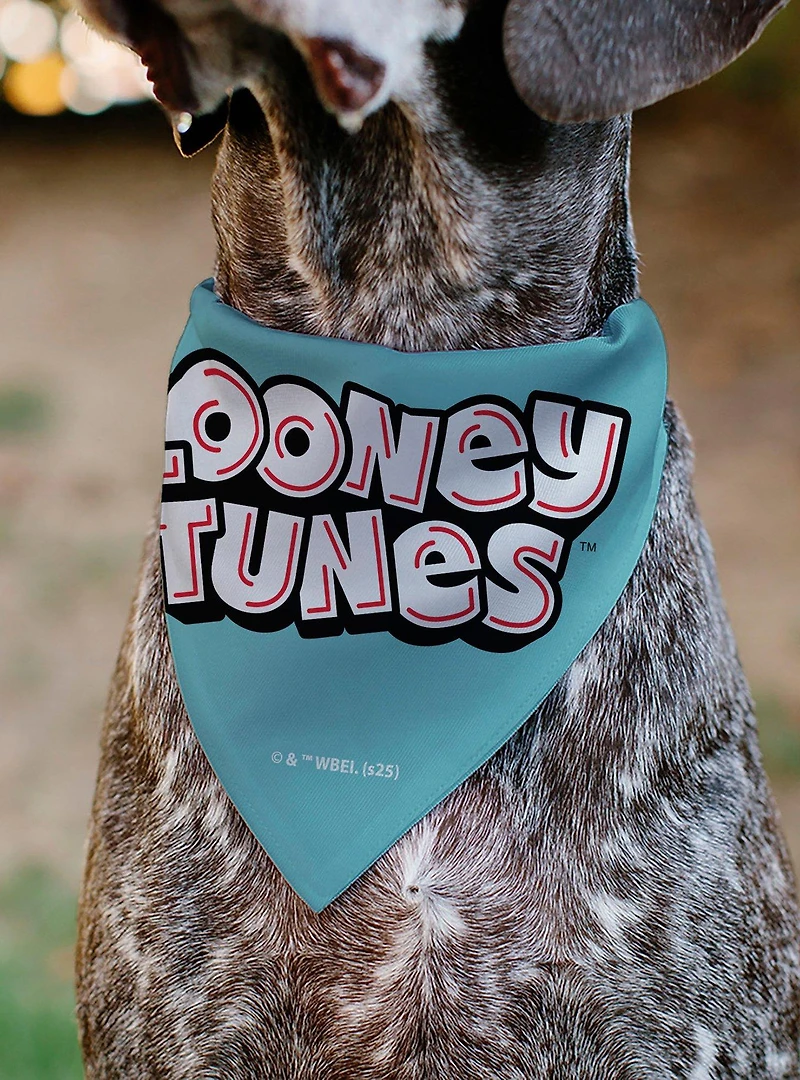 Looney Tunes Taz Tasmanian Devil Crazy In Love Heart Logo Slip On Collar Pet Bandana - Bandana Only
