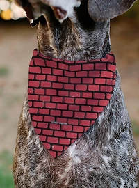 Teenage Mutant Ninja Turtles Brick Title Slip On Collar Pet Bandana - Bandana Only