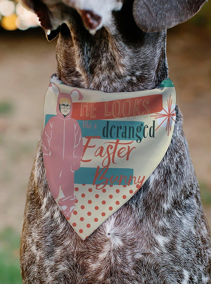 A Christmas Story Easter Bunny Ralphie Pose and House Slip On Collar Pet Bandana - Bandana Only