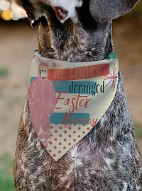 A Christmas Story Easter Bunny Ralphie Pose and House Slip On Collar Pet Bandana - Bandana Only