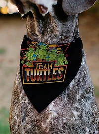 Teenage Mutant Ninja Turtles Team Turtles Pose Slip On Collar Pet Bandana - Bandana Only