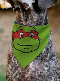 Teenage Mutant Ninja Turtles Raphael Turtle Shell Slip On Collar Pet Bandana - Bandana Only