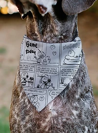 Peanuts Good Ol Charlie Brown Comic Scene Slip On Collar Pet Bandana - Bandana Only