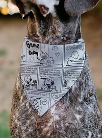 Peanuts Good Ol Charlie Brown Comic Scene Slip On Collar Pet Bandana - Bandana Only