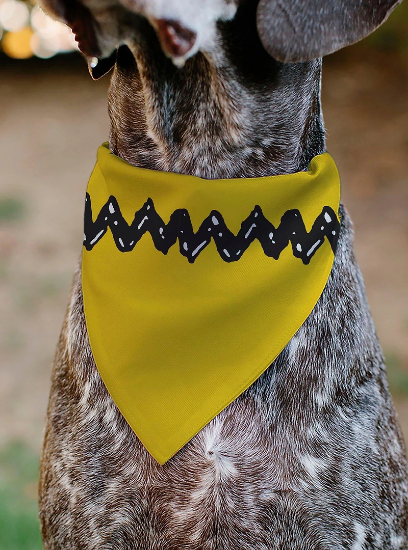 Peanuts 75th Charlie Brown Zig Zag Stripe Slip On Collar Pet Bandana - Bandana Only