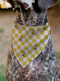 Peanuts Woodstock Pose Checker Slip On Collar Pet Bandana - Bandana Only