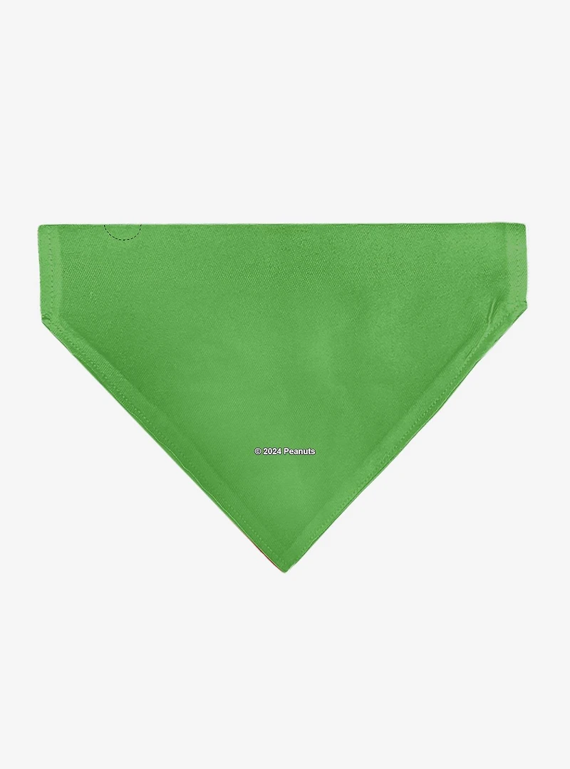 Peanuts Gang Group Pose Slip On Collar Pet Bandana - Bandana Only