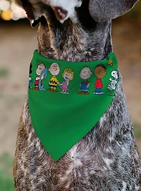 Peanuts Gang Group Pose Slip On Collar Pet Bandana - Bandana Only