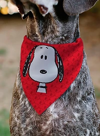 Peanuts Snoopy Face and Profile Slip On Collar Pet Bandana - Bandana Only