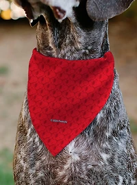 Peanuts Snoopy Face and Profile Slip On Collar Pet Bandana - Bandana Only