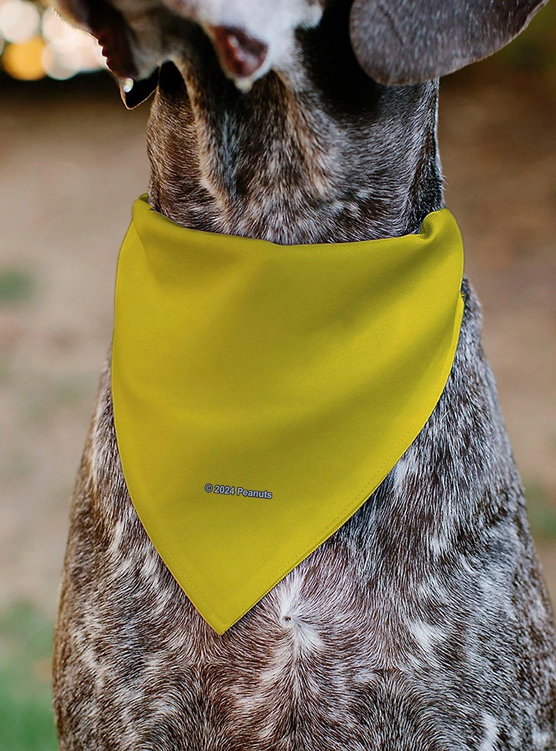 Peanuts Woodstock Pose Close Up Slip On Collar Pet Bandana - Bandana Only