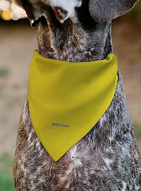 Peanuts Woodstock Pose Close Up Slip On Collar Pet Bandana - Bandana Only