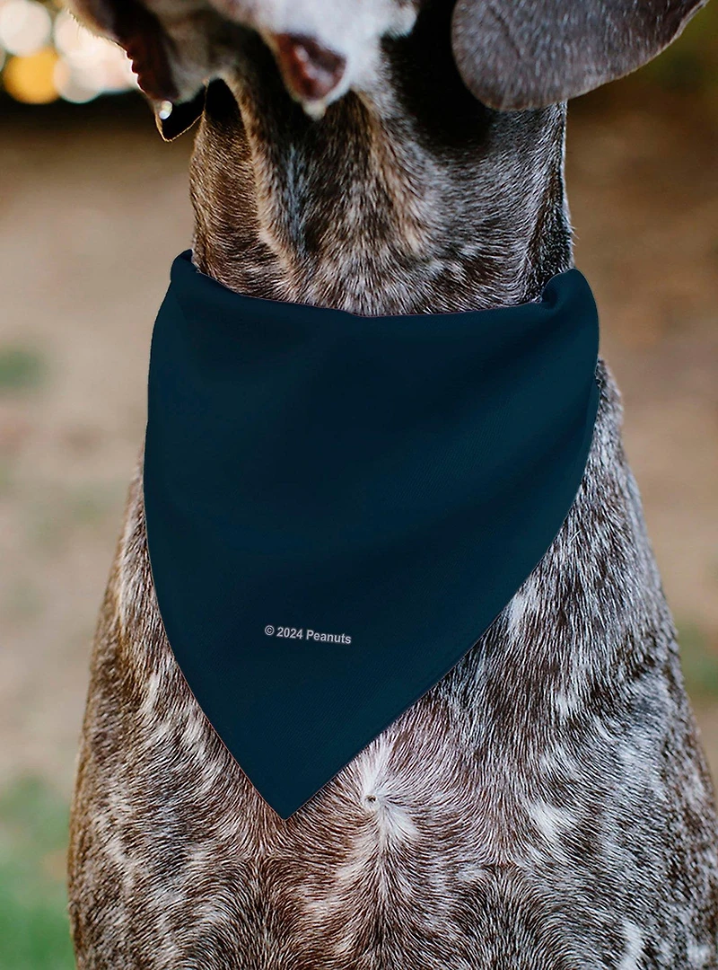 Peanuts Astronaut Snoopy I Need My Space Slip On Collar Pet Bandana - Bandana Only