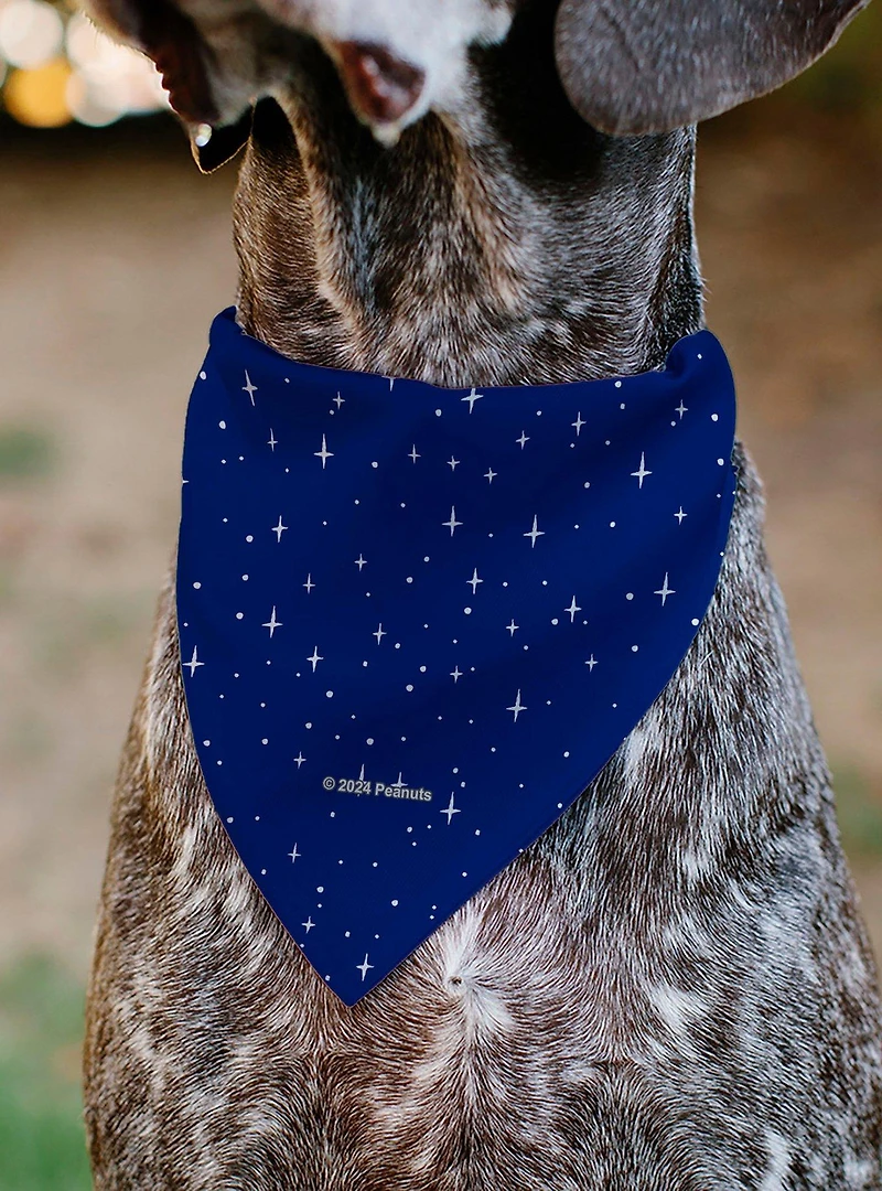 Peanuts Astronaut Linus Security Blanket Space Slip On Collar Pet Bandana - Bandana Only