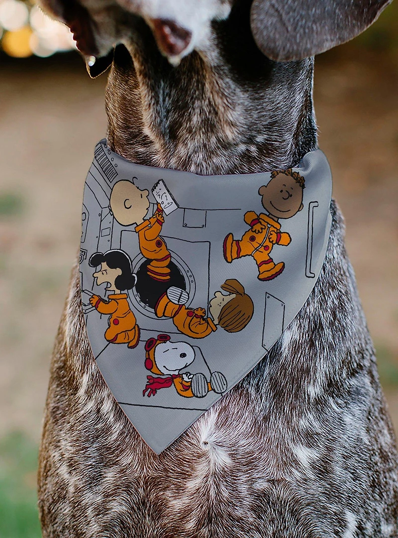 Peanuts Gang Floating Astronauts Group Slip On Collar Pet Bandana - Bandana Only