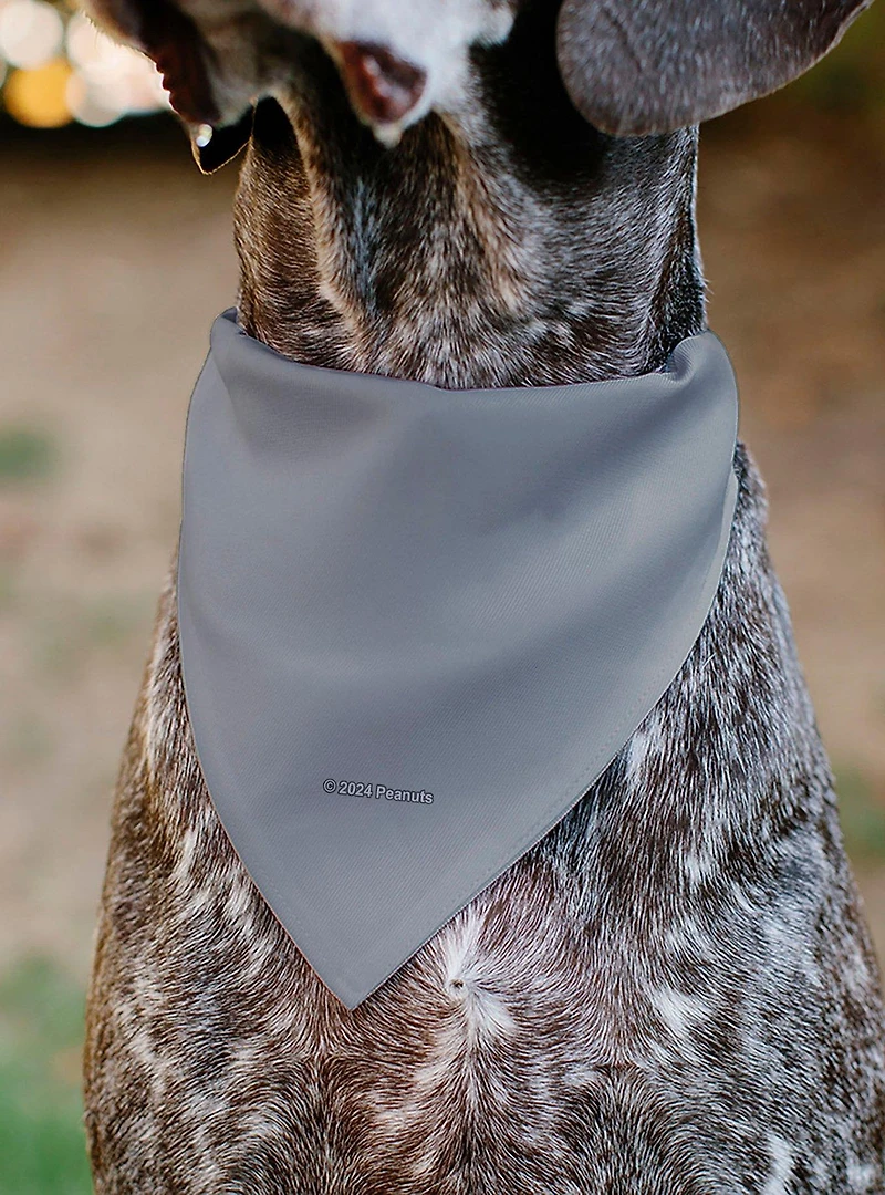 Peanuts Gang Floating Astronauts Group Slip On Collar Pet Bandana - Bandana Only