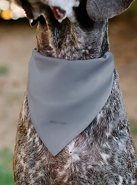 Peanuts Gang Floating Astronauts Group Slip On Collar Pet Bandana - Bandana Only