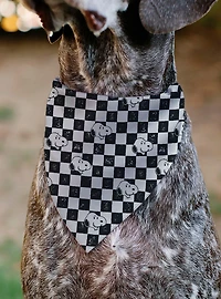 Peanuts Snoopy Smiling Face Checker Slip On Collar Pet Bandana - Bandana Only