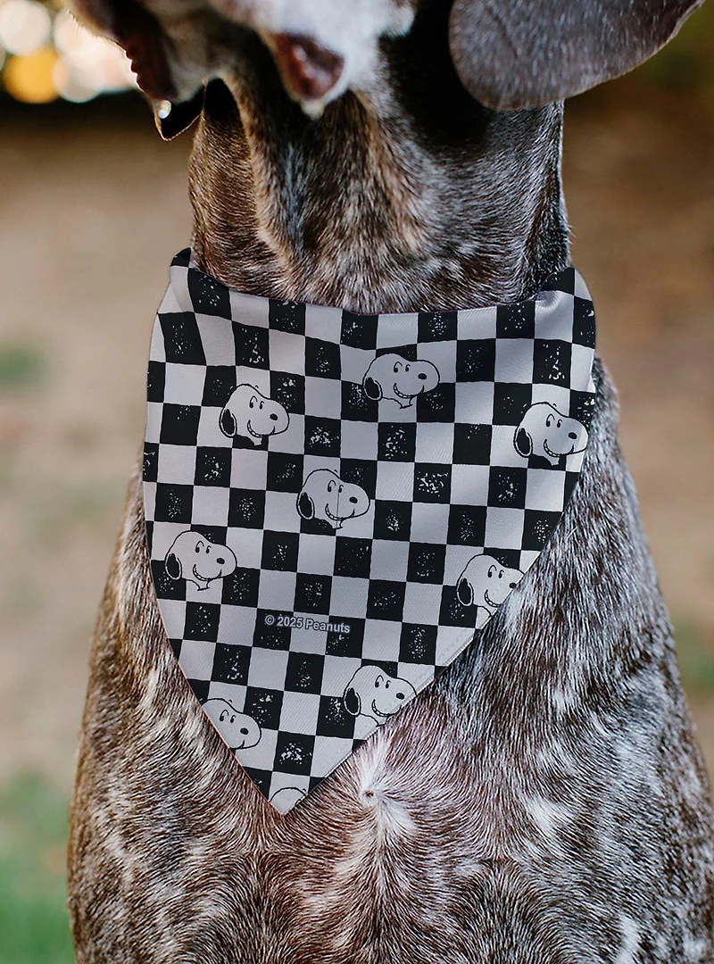Peanuts Snoopy Smiling Face Checker Slip On Collar Pet Bandana - Bandana Only